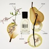 DedCool Eau de Parfum | Mochi Milk | Peach Nectar, Marshmallow & Sweet Rice Milk | Clean Unisex Fragrance | Non-Toxic, Vegan | Travel Size Perfume, 15 mL(Aura)