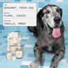 DedCool Pet Shampoo & Pet Fragrance Bundle | 01 Taunt | Luxury Grooming Set for Dogs | Cleanses, Deodorizes & Freshens Coats | Sulfate-Free, Non-Toxic & Vegan